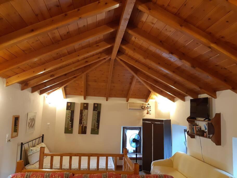 Kouros Villa! Paltsi Pilion Ngoại thất bức ảnh