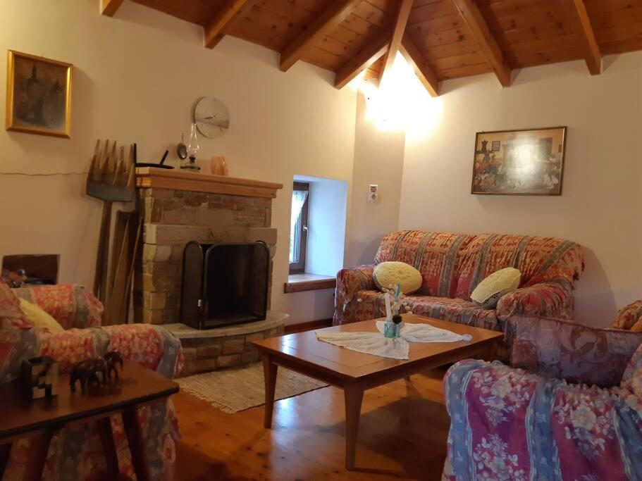 Kouros Villa! Paltsi Pilion Ngoại thất bức ảnh