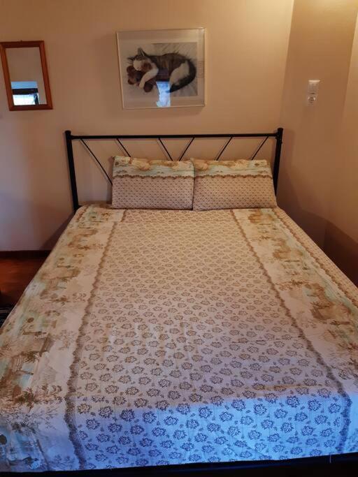 Kouros Villa! Paltsi Pilion Ngoại thất bức ảnh