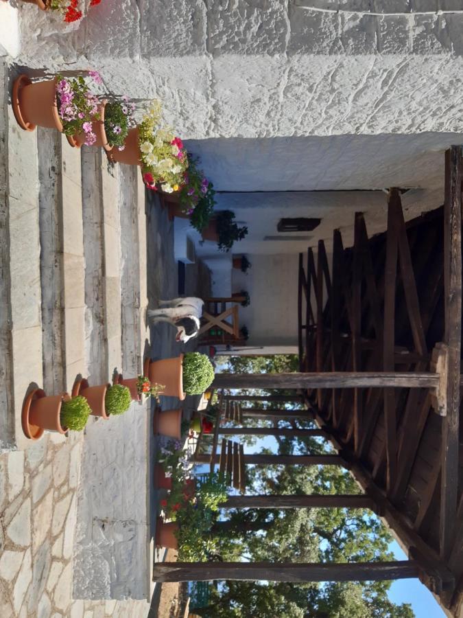 Kouros Villa! Paltsi Pilion Ngoại thất bức ảnh